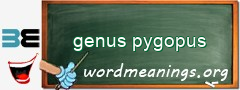 WordMeaning blackboard for genus pygopus